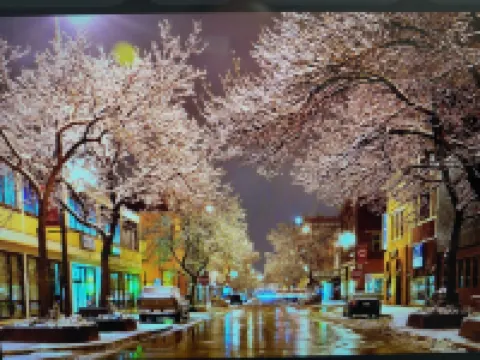 The Warden Historic Eau Claire Home