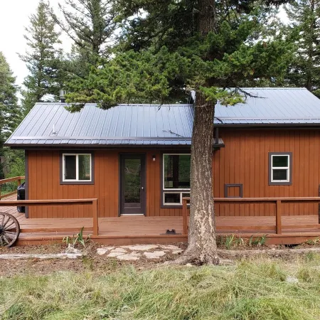 Remote cabin on 40 acres with wildlife and no distractions.