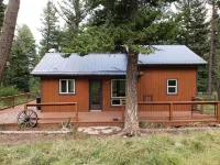 Remote cabin on 40 acres with wildlife and no distractions.