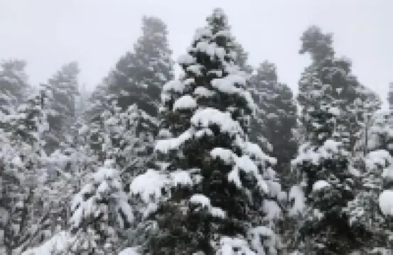 Hidden Gem! Swiss Cottage Ski Chalet