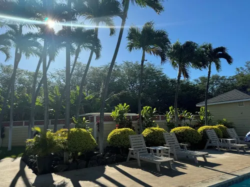 Boho Island Paradise - Remodeled 2BR/2BA