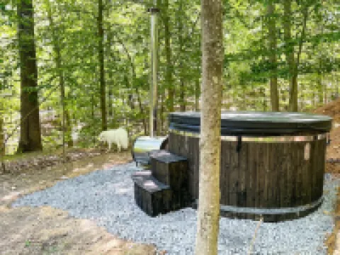 BLVCK Cabin w/ HotTub in the Mountains near Bushkill Falls