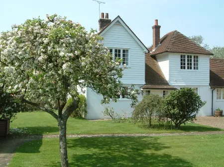 Pretty cottage with direct access to The New Forest