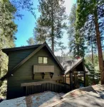 Beautiful family cabin w/ forest views. Walk to Blue Jay, 2 miles to the Village