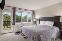 Traverse city/Golf/Hiking/Equestrian/Lake