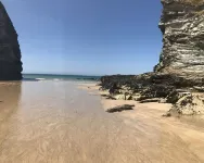 Beautiful Modern SeaView Apartment in WatergateBay