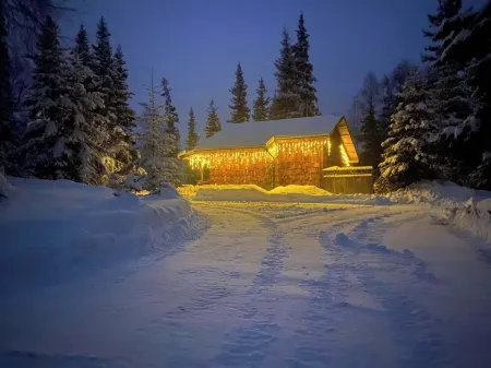 Bear Cabin-Gunning Cabin Rentals