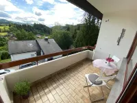 Vacation apartment Schwarzwaldblick in Lenzkirch (incl. HSC)