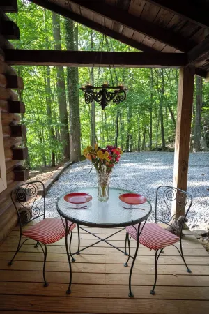 Beautiful Log Cabin with AC and WiFi in Gorgeous Burnsville.