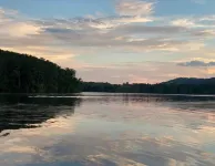 Studio Apartment with Office Space at Lake Guntersville - Scottsboro, AL