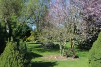 NEW apartment just 8 minutes to the beach, in the midst of a idyllic garden Hotels in Uecker-Randow