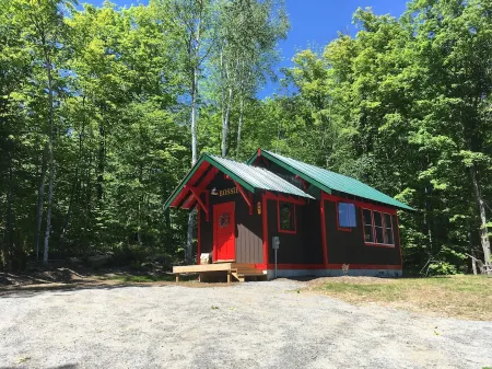 Handcrafted mountain cabin with gorgeous views