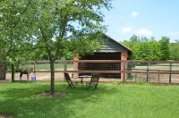 Scottland Yard Farm's Honey Suckle Family Glamping Tent 쉰다진 홀로 주립산림공원 주변 호텔