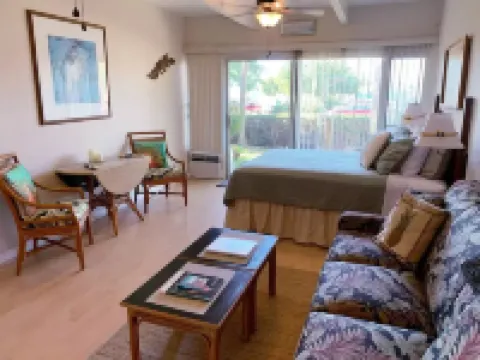 Ocean view studio 1k ft from water! Good WIFI! Kid-friendly beach with turtles!