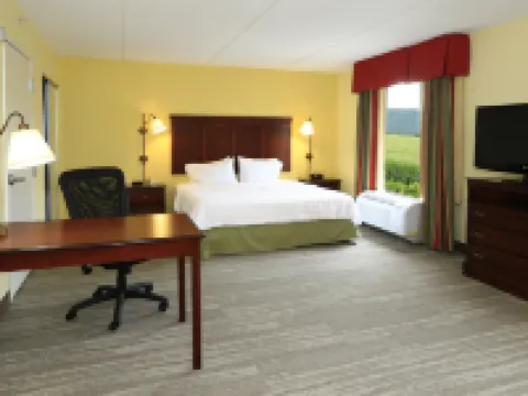 希爾頓歡朋酒店-拉馬爾 克林頓縣酒店