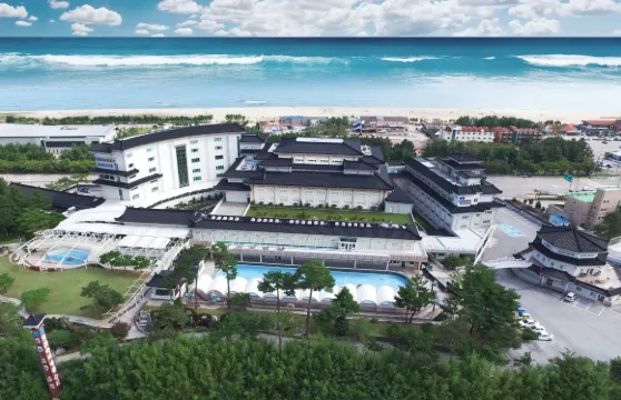 江原道東海保養水療會議酒店