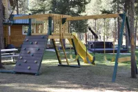 Relaxing, spacious cabin w/ hot tub and Starlink's high-speed internet service