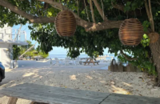 Private Oceanfront: Heated Pool, Paddleboards & Kayaks - 180 degree ocean views