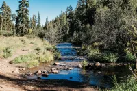 Updated cabin walking distance to both restaurants and amazing hiking trails!