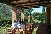 Cozy pet friendly private pool cottage in Tuscany