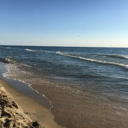 A block from the beach! A beautiful wooded spot a 5 minute walk from Lake MI..