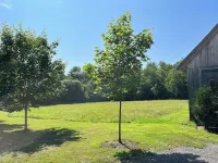 Hillside House