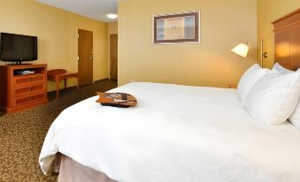 Hampton Inn Utica