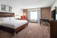 Hilton Garden Inn El Paso Airport Hotels in El Paso