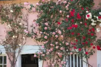 Grande Maison de Famille a 1h de Paris Dans un Parc Arboré