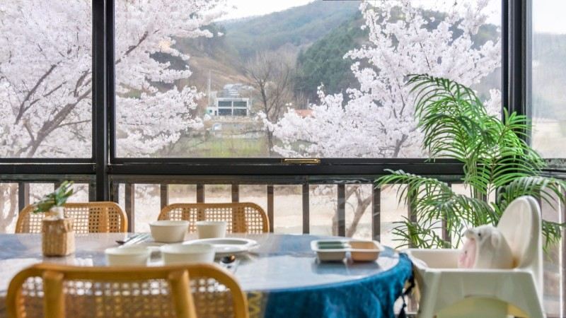 가평 봄 키즈 가족 스파 펜션