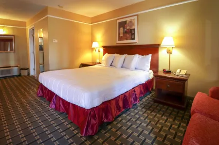 Econo Lodge Отели в г. Блайт