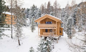 Natural Chalet with Whirlpool