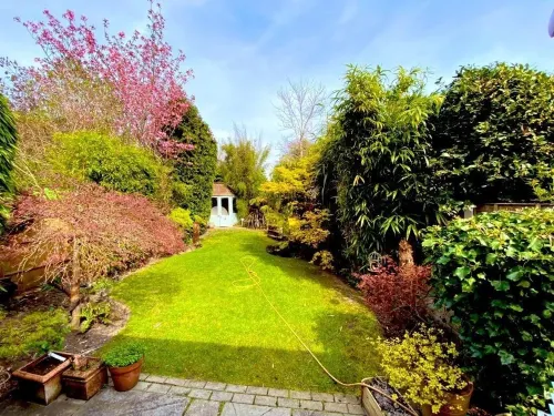 Luxury Central Hale living