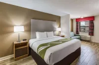 Quality Inn & Suites Hot Springs - Lake Hamilton Hotels in Lake Hamilton