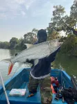 Suleima Lodge Hotels in Kombo South