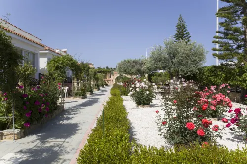 Eliofos Elegant Maisonettes - Wifi