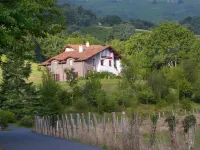Auberge Ostape Hôtels à : Bidarray