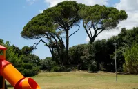 I Cinque Pini - Family