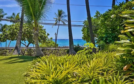 Outstanding Oceanfront Studio - Kona Islander Inn Condos Condo by RedAwning Отели рядом с достопримечательностью «Hulihe'e Palace»