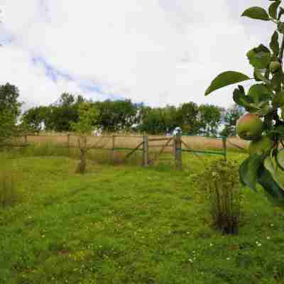 Tring Grange Cottage - Sleeps 2 - Onsite Parking Hotel Exterior