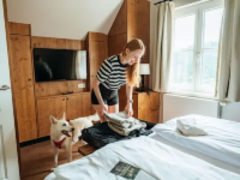Holiday Homes in the Schierke Harzresort on the Brocken, Schierke Hotels in Schierke