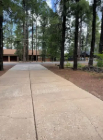 Dog friendly 3-bedroom house in the tall pines close to golf & skiing.