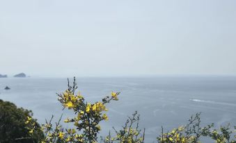The White Cave- Bluchalet