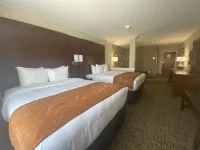 Comfort Suites Midland West Hotels in Midland