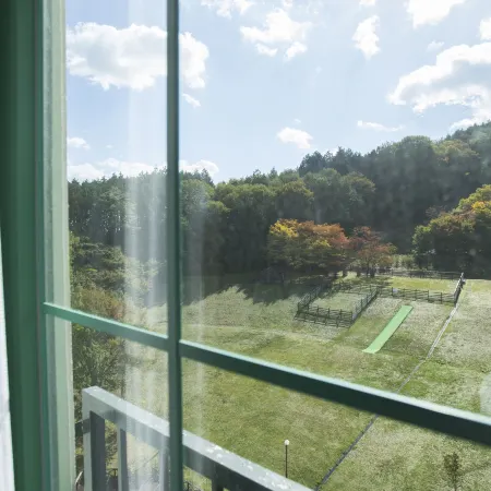 Blue Ridge Hotel