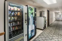 Americas Best Value Inn Wenona Hotels in Minonk