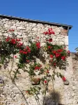 charm and comfort of the campaign in the castles of the Loire.