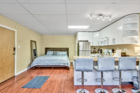 Spacious Studio with Reserved Parking - Charming Tahoe Retreat