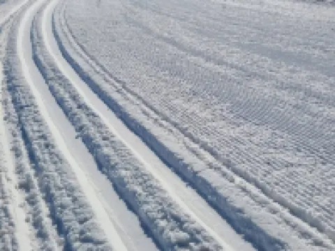 Broken Willow Bungalow Hoteles en Union