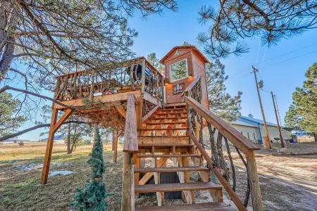 Tree Fort Escape Отели в г. Палмер Лейк